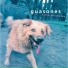 Guasones