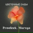 Proofeek feat. Mursya