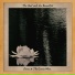 Diane & The Gentle Men, Alejandro Escovedo