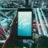 Pvxvn
