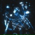 SHINARI, ZXLXN