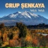 Grup Şenkaya