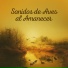 Sonidos De Aves