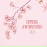 Springy Sensations