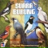 Burung Juara IMC