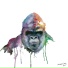 Silverback Colony