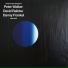 Danny Frankel, David Ralicke, Peter Walker