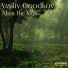 Vasiliy Goodkov