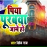 Vivek Raj