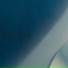 CJ Sailplane