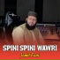 Jamil Fani