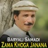 Baryali Samadi