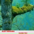 Eloy Rohana