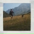Denis Stelmakh & Icelandic Elephants