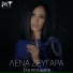 Lena Zevgara, Michael Touratzidis