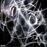 Lm4o
