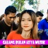 Mamiq Rindang