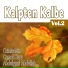 Celaleddin