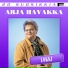 Arja Havakka