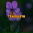 six 7ven