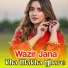 Wazir Jana