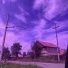 барзыквин