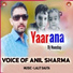 Anil Sharma