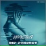 DIP Project