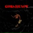 GORSHUNOV