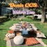 Denis CCS