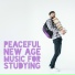 Focus Skills Zone, Thinking Music World