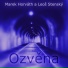 Leoš Stenský, Marek Horváth