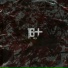 16 ПЛЮС