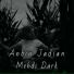 Mehdi Dark