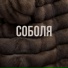 Sola Monova