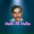 Malik Ali Malkoo