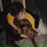 Rocco Magone