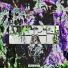 25YB