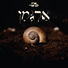 Erez Lev Ari