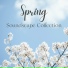 Springtime Chris