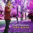ZENO BRAVO