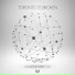 Toronto Is Broken feat. Jodie Carnall