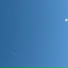 Обыкновенное Чудо