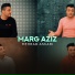 Mehrab Askari
