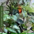 Plant House & Garden