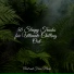 Musica Reiki, Massage Tribe, Chillout Lounge
