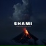 SHAMI