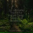 Spa Relaxation, Study Power, Sleep Songs 101