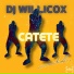 Dj WilliCox