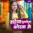 Sumit Snehi